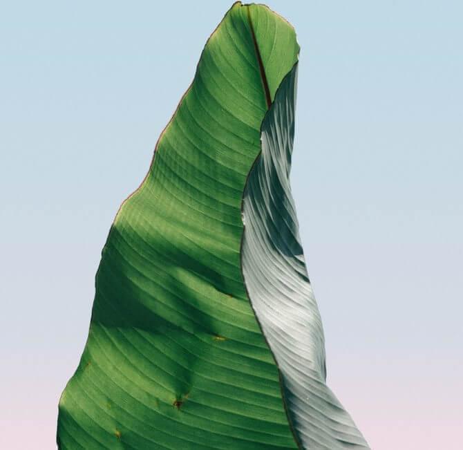 نمونه کار