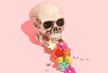تصاویر نمونه کار ها
