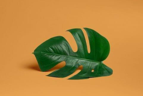 تصاویر نمونه کار ها